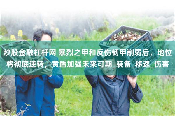 炒股金融杠杆网 暴烈之甲和反伤韧甲削弱后，地位将彻底逆转，黄盾加强未来可期_装备_移速_伤害
