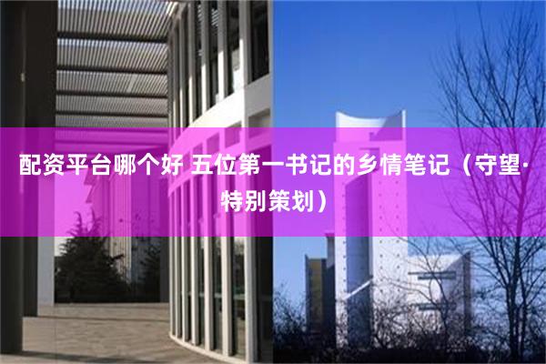 配资平台哪个好 五位第一书记的乡情笔记（守望·特别策划）
