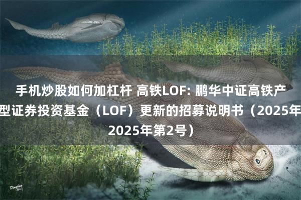 手机炒股如何加杠杆 高铁LOF: 鹏华中证高铁产业指数型证券投资基金(LOF)更新的招募说明书(2025年第2号)