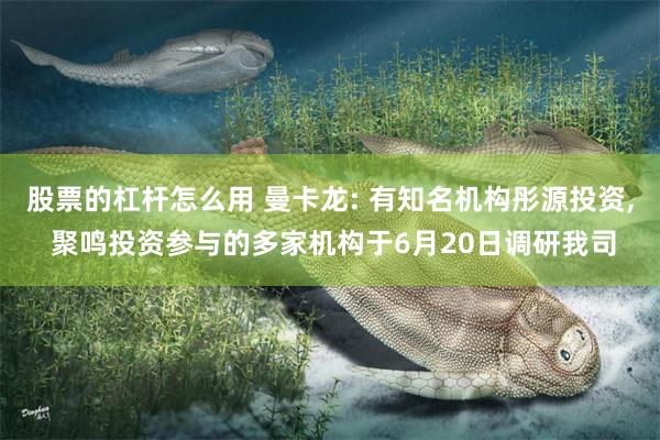 股票的杠杆怎么用 曼卡龙: 有知名机构彤源投资, 聚鸣投资参与的多家机构于6月20日调研我司