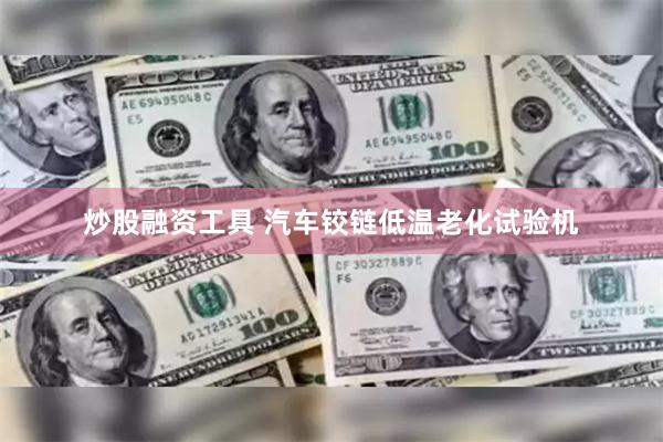 炒股融资工具 汽车铰链低温老化试验机